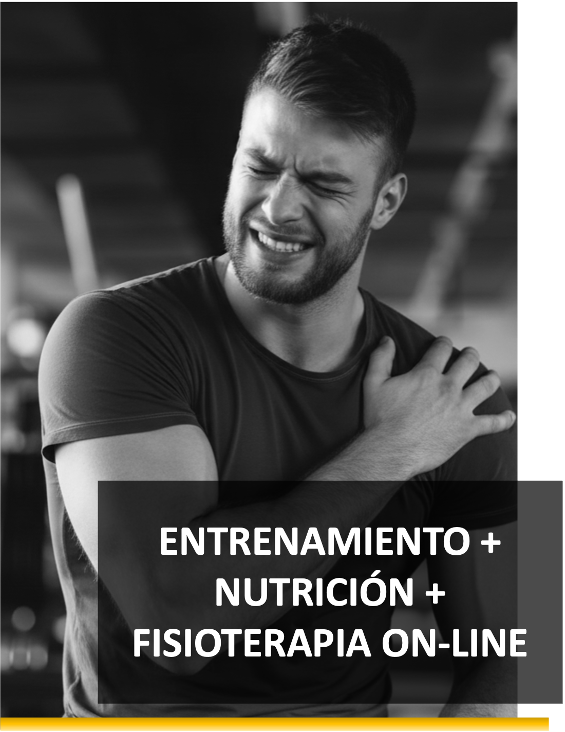 Servicio 3